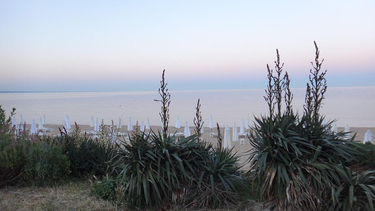 Golden Sands, photo 2 of 4