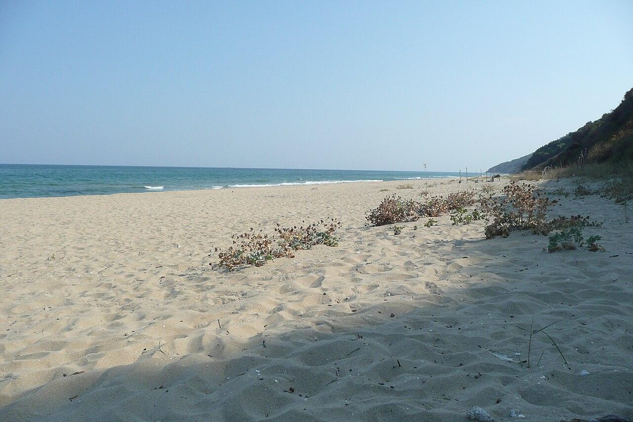 Irakli, photo 5 of 5