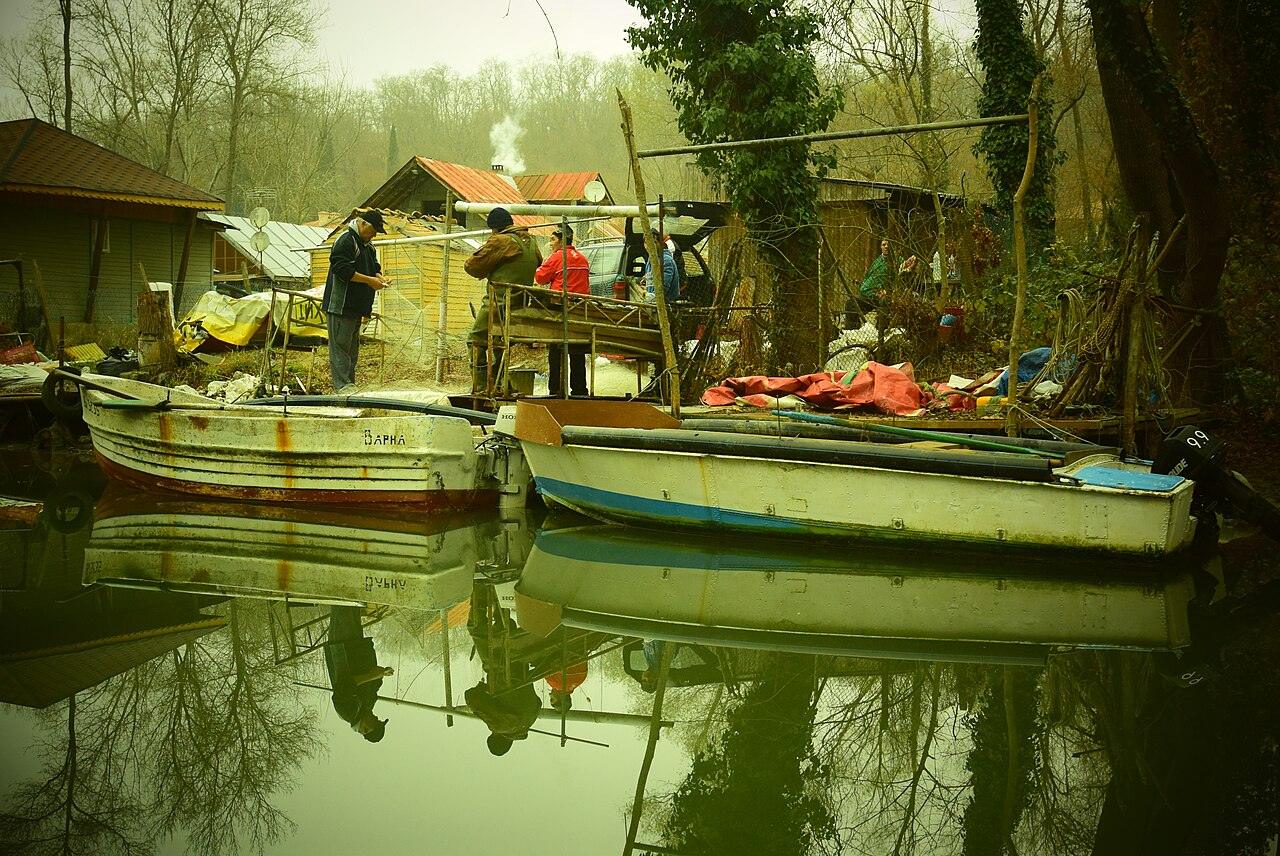 Kamchia, photo 4 of 6