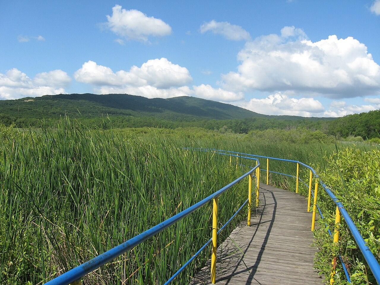 Kavatsite & Arkutino, photo 5 of 6