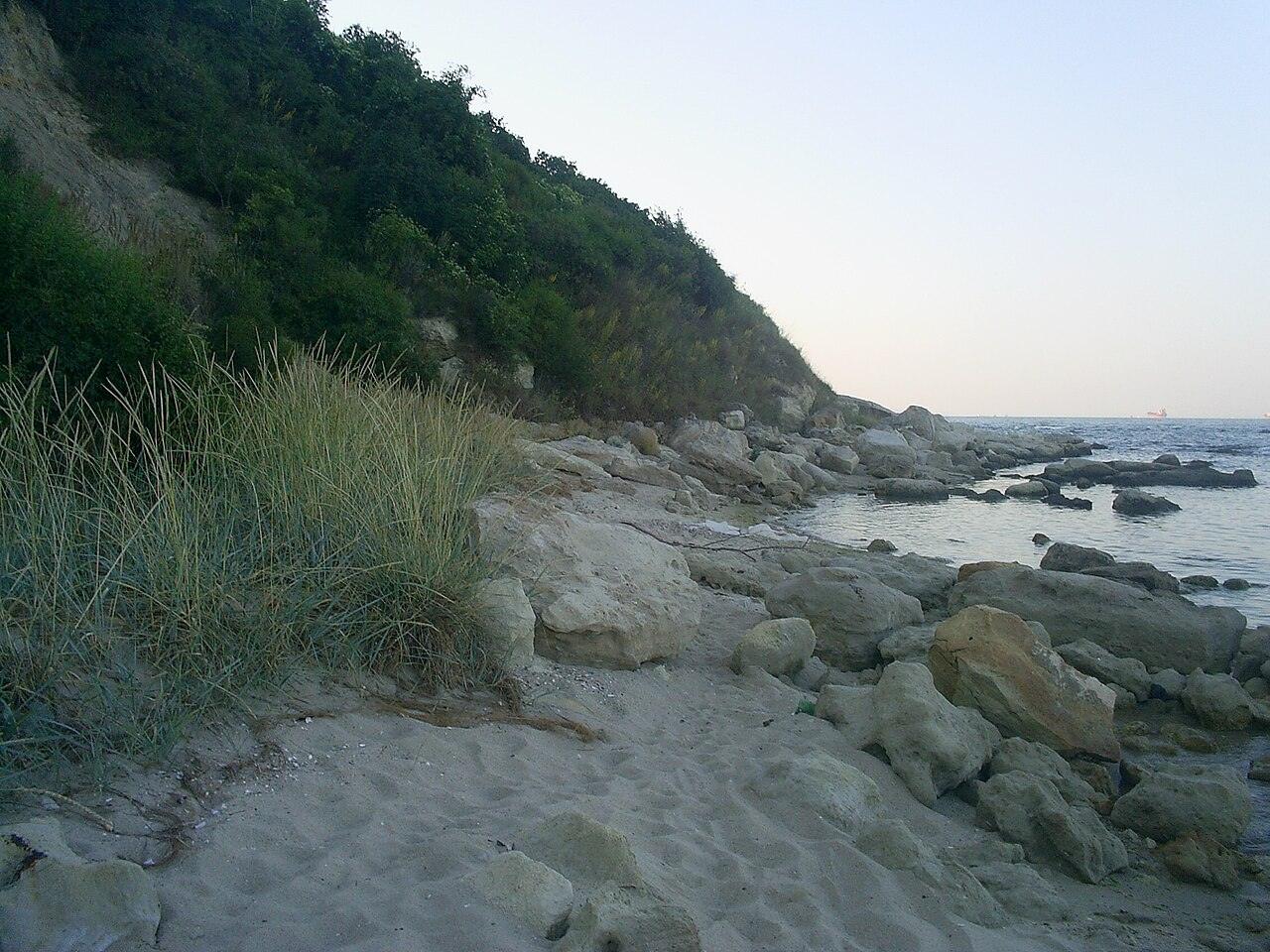 Pasha Dere, photo 5 of 5