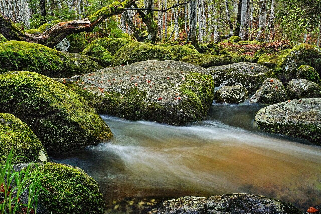 Golden Bridges, Vitosha, photo 1 of 4