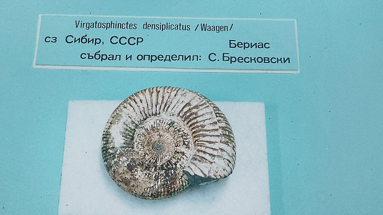 National Museum of Natural History, photo 2 of 2