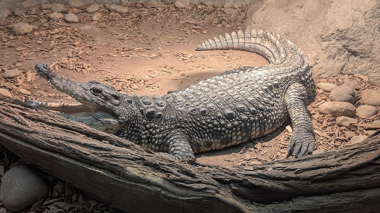Sofia Zoo, photo 2 of 6