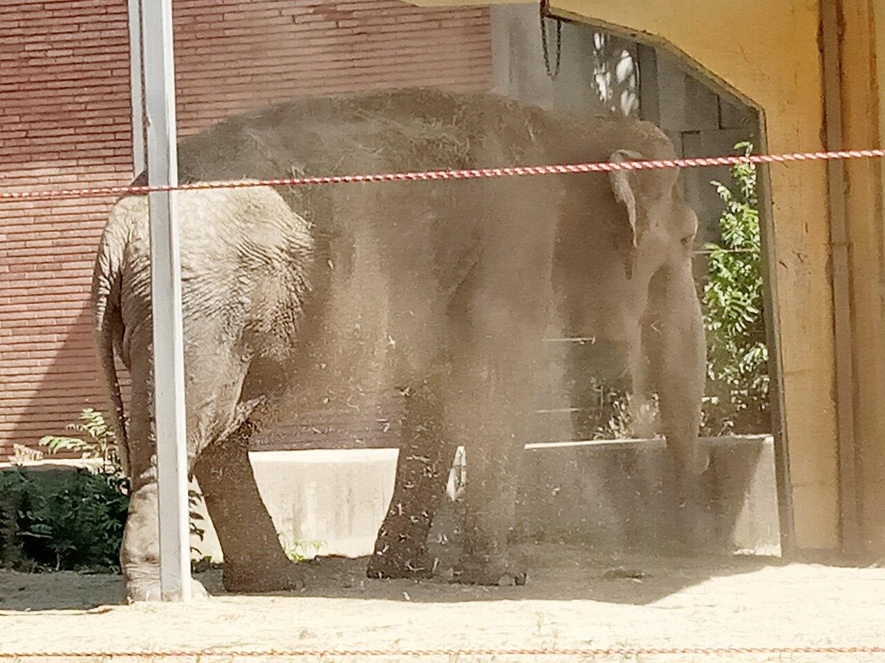 Sofia Zoo, photo 3 of 6