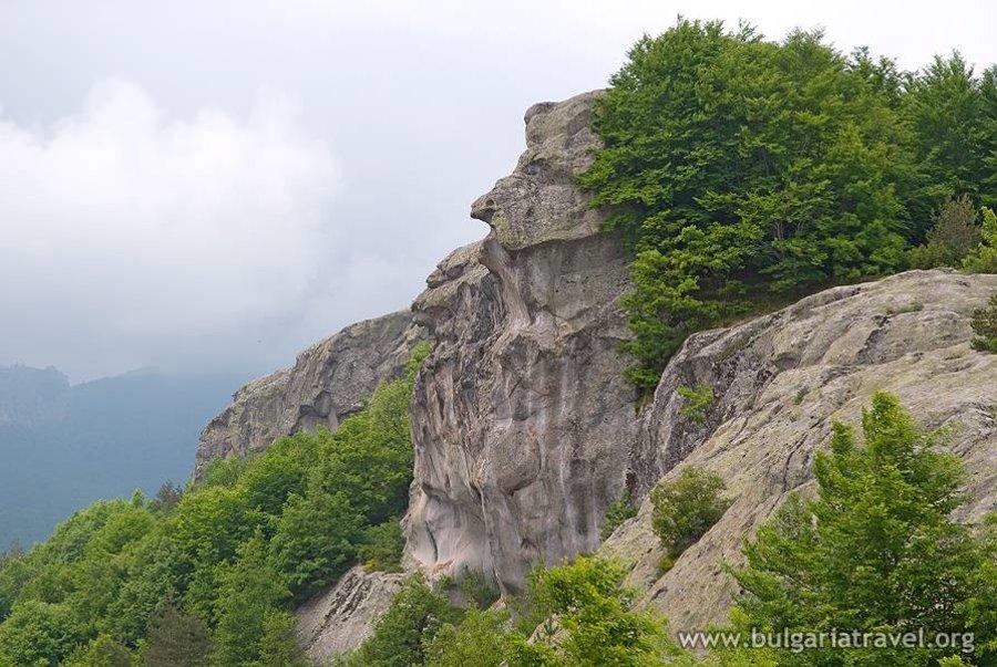 Belintash, photo 4 of 6