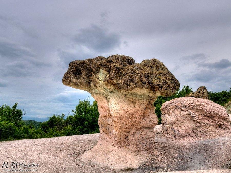 Stone Mushrooms, photo 1 of 6