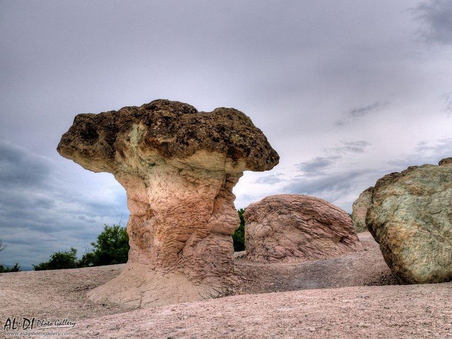 Stone Mushrooms, photo 2 of 6