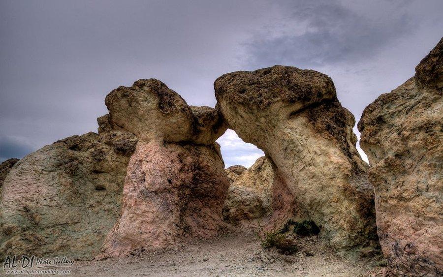 Stone Mushrooms, photo 4 of 6