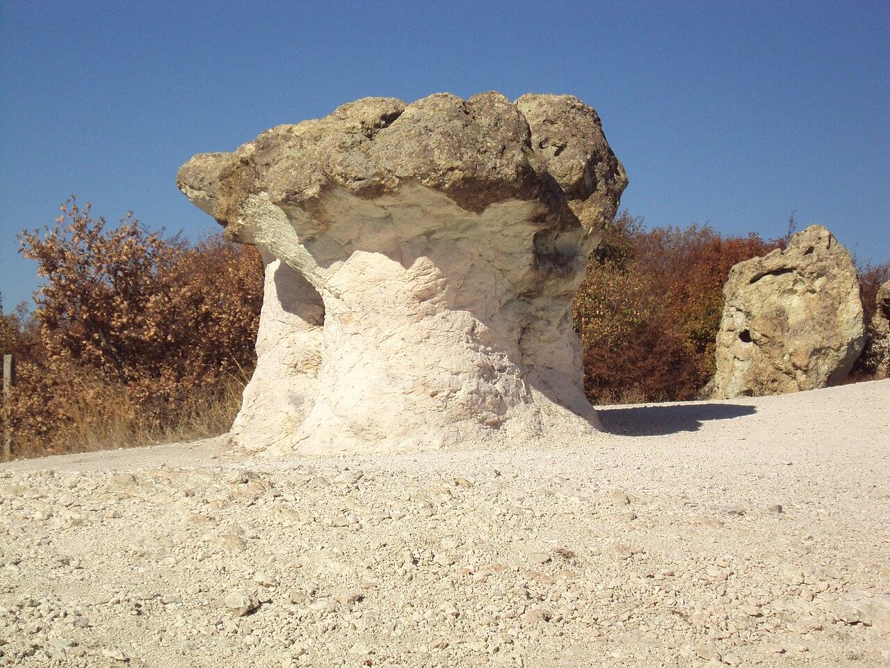 Stone Mushrooms, photo 5 of 6