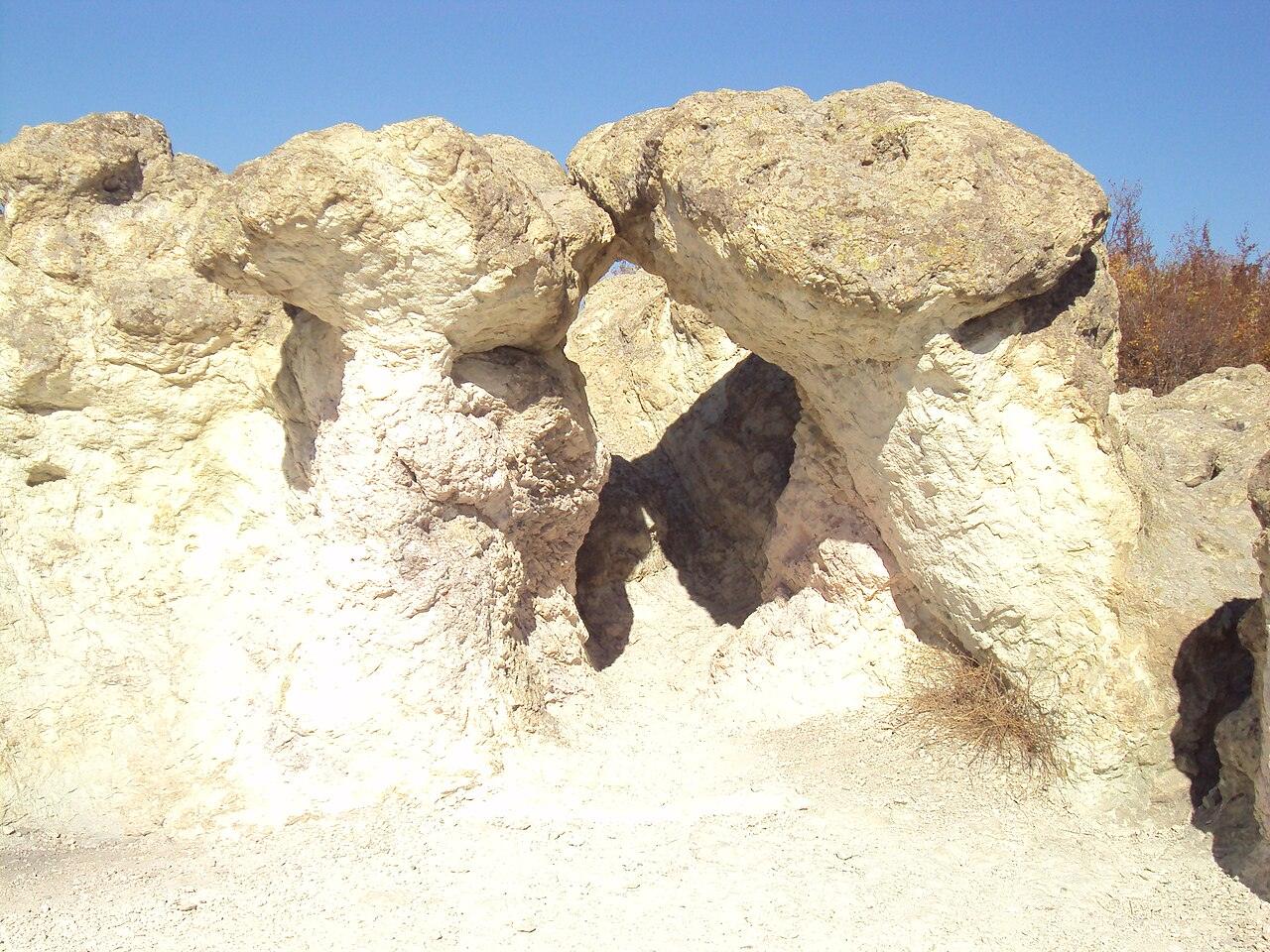 Stone Mushrooms, photo 6 of 6