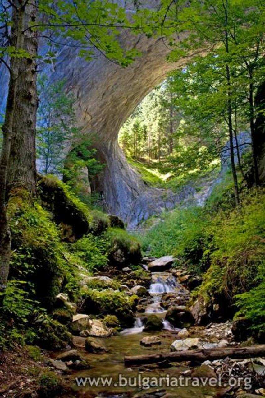 Wonderful Bridges, photo 4 of 7